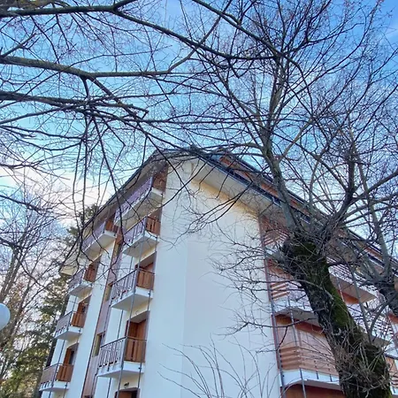 Palace Apartment